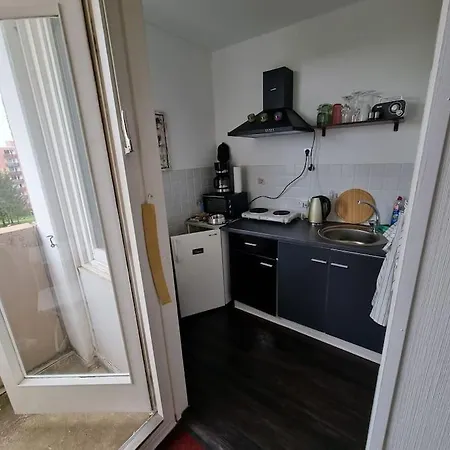 Ferienwohnung Altenau Im Harz, Hunde Экстерьер фото