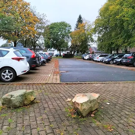 Ferienwohnung Altenau Im Harz, Hunde Экстерьер фото