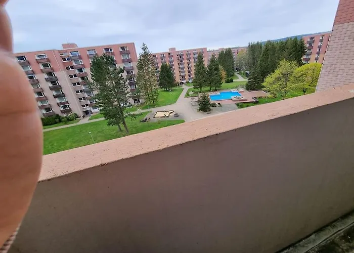 Ferienwohnung Altenau Im Harz, Hunde