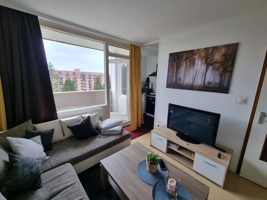 Altenau Im Harz, Hunde Apartment *