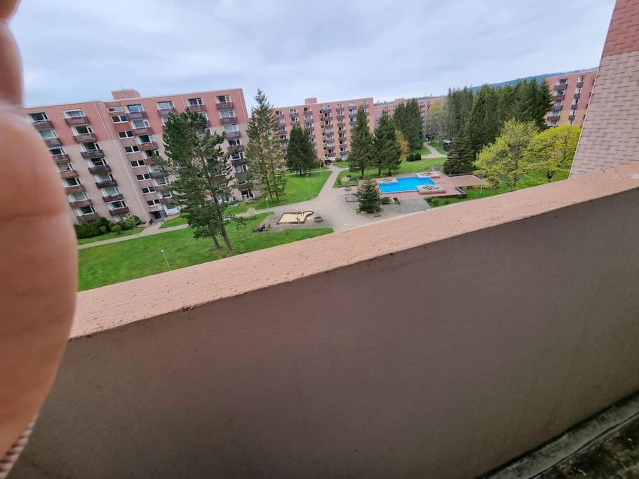 Apartment Altenau Im Harz, Hunde *